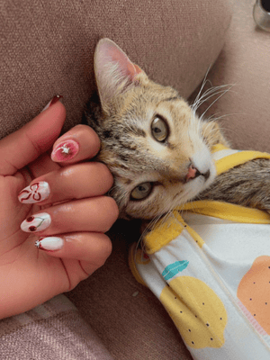 Cute builder gel nail art with bow and floral design beside a tabby cat by Riri Nails in Muscat Oman