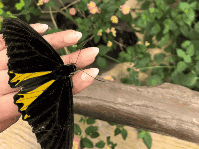 Riri Nails Oman Gel on natural nails with aesthetic beautiful nail art for elegant nails